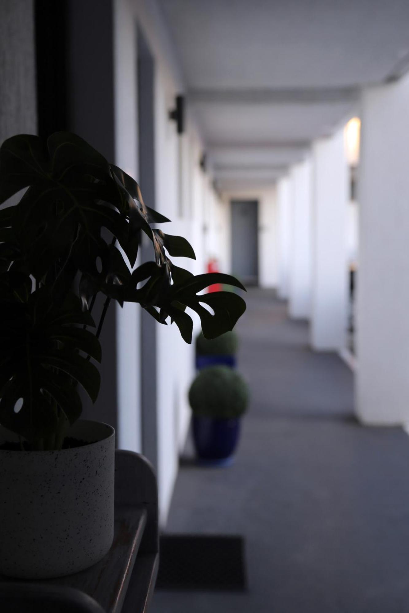 Zorba Waterfront Motel Batemans Bay Exterior foto